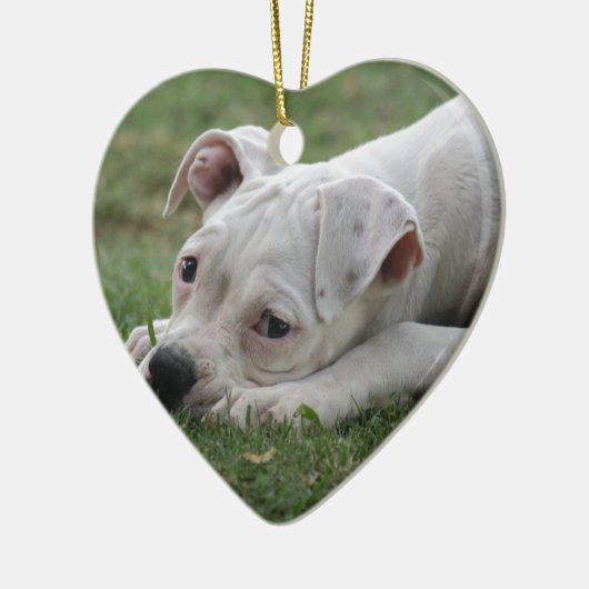 Süßer Boxer-Welpe Keramik Ornament (Links)