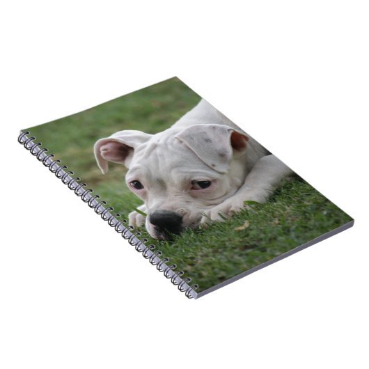 Süßer Boxer-Welpe Notizblock (Rechte Seite)