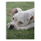 Süßer Boxer-Welpe Notizblock (Vorderseite)