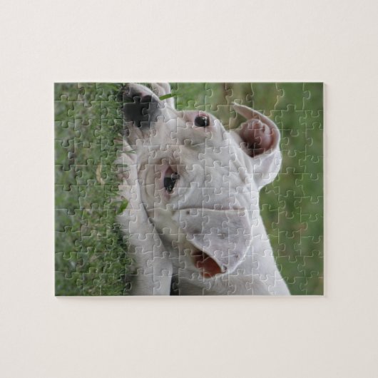 Süßer Boxer-Welpe Puzzle (Horizontal)