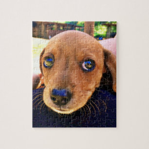 Süßer brauner Dachshund-Welpe Puzzle