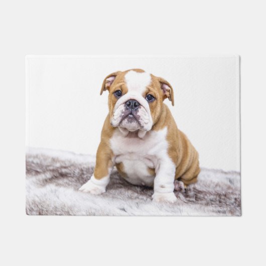Süßer Bulldoggen-Welpe Fußmatte (Vorderseite)
