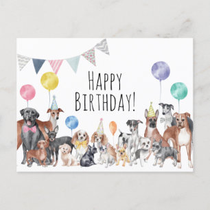 Süßer Bunter Hund Alles Gute Zum Geburtstag  Postkarte