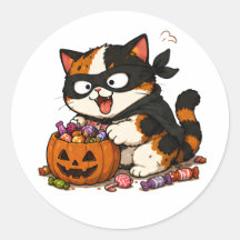 Süßer Candy-Dieb Katze mit Dreifarbenfell
