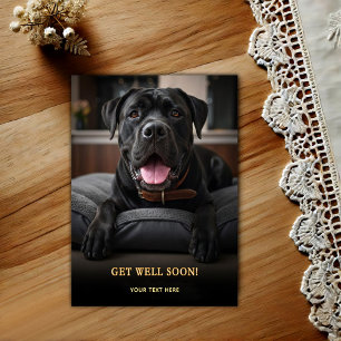 Süßer Cane Corso Gute Besserung Postkarte