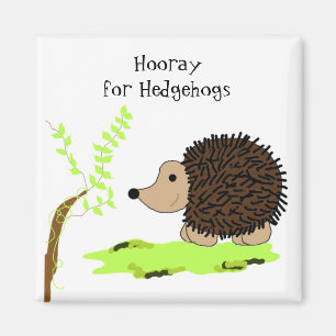 Süßer Cartoon-Igel Magnet