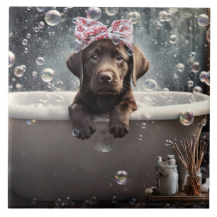 Süßer Chocolate Lab Welpe Hund Spa Schaumbad Fliese