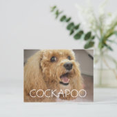 Süßer Cockapoo-Hund lächelt Postkarte (Stehend Vorderseite)