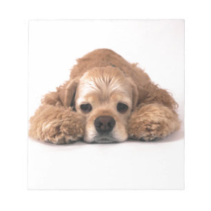 Süßer Cocker Spaniel Notizblock