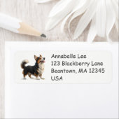 Süßer Corgi (Insitu)