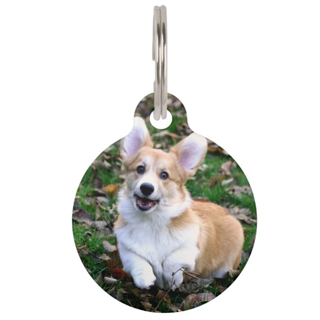 Süßer Corgi-Hund springt Haustiermarke (Vorderseite)