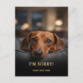 Süßer Dachshund Entschuldigung Postkarte (Vorderseite)
