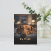 Süßer Dachshund Entschuldigung Postkarte (Stehend Vorderseite)