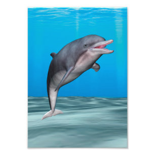 Süßer Delfin Fotodruck