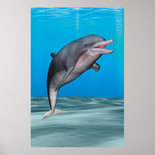 Süßer Delfin Poster