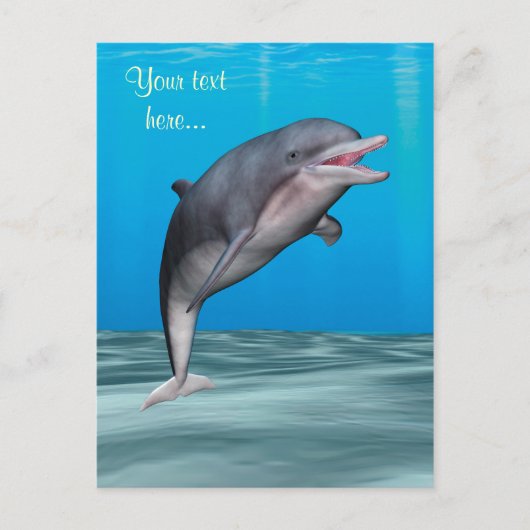 Süßer Delfin Postkarte (Vorderseite)