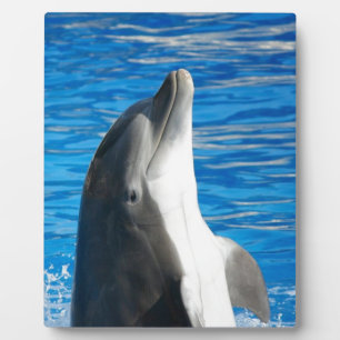 Süßer Delfin Strand Frieden Liebe Party Schicksal Fotoplatte