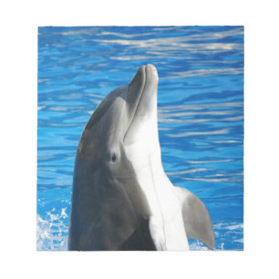 Süßer Delfin Strand Frieden Liebe Party Schicksal Notizblock