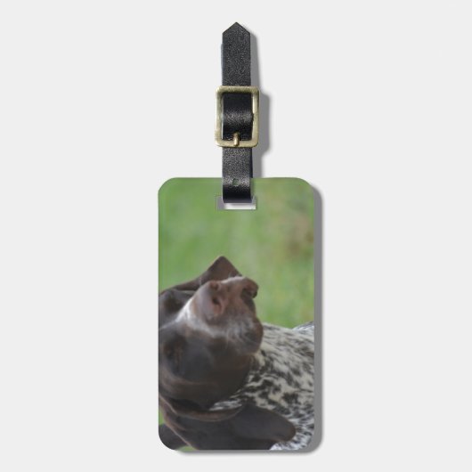 Süßer deutscher kurzhaariger Zeiger Gepäckanhänger (Vorderseite vertikal)