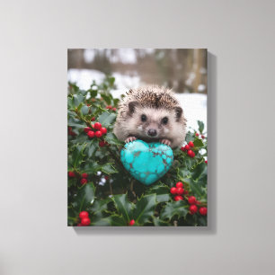 Süßer Dezember-Igel mit Türkis-Herz Leinwanddruck