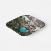 Süßer Dezember-Igel mit Türkis-Herz Pappteller (Gewinkelt)