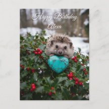 Süßer Dezember-Igel mit Türkis-Herz