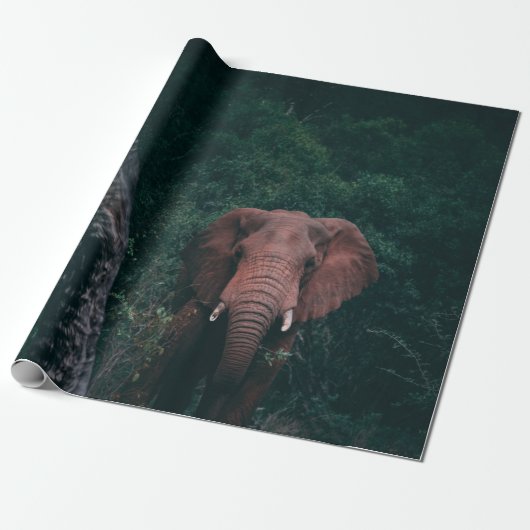 SÜSSER ELEFANT GESCHENKPAPIER (Ungerollt)