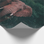 SÜSSER ELEFANT GESCHENKPAPIER (Ecke)