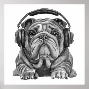 Süßer englischer Bulldogge mit Kopfhörern Poster