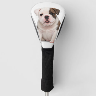 Süßer Englischer Bulldoggen-Welpe Golf Headcover