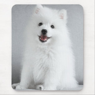 Süßer flauschiger japanischer Spitz-Welpe Mousepad