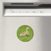 Süßer Fluffy Gosling Magnet (In Situ (Geschirrspüler))