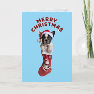 Süßer französischer Bulldogge Weihnachten  Karte