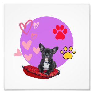 Süßer Frenchie-Welpe mit Herzen Fotodruck