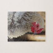 Süßer Frizzle-Hahn Puzzle (Horizontal)