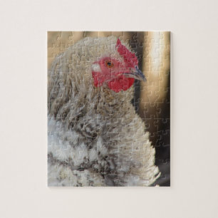 Süßer Frizzle-Hahn Puzzle