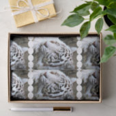 Süßer gegenübergestellter weißer Tiger Seidenpapier (Geschenk)