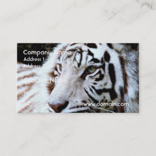 Süßer gegenübergestellter weißer Tiger Visitenkarte