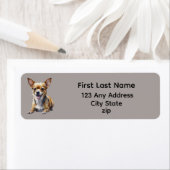 Süßer glücklicher Chihuahua-Hund (Insitu)