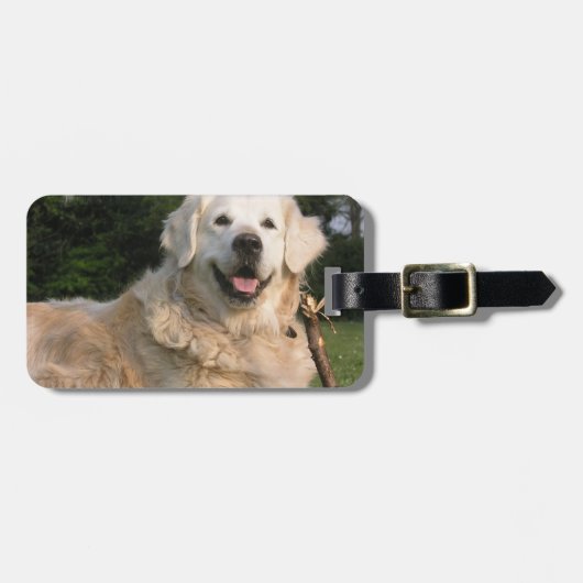 Süßer golden retriever-Gepäckanhänger Gepäckanhänger (Vorderseite horizontal)
