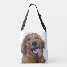 Süßer Golden Retriever | Originale Hunde-Fotografi