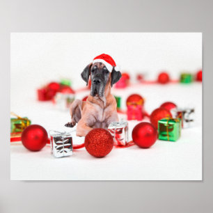 Süßer Great Dane Hund Weihnachten Santa Hut Poster