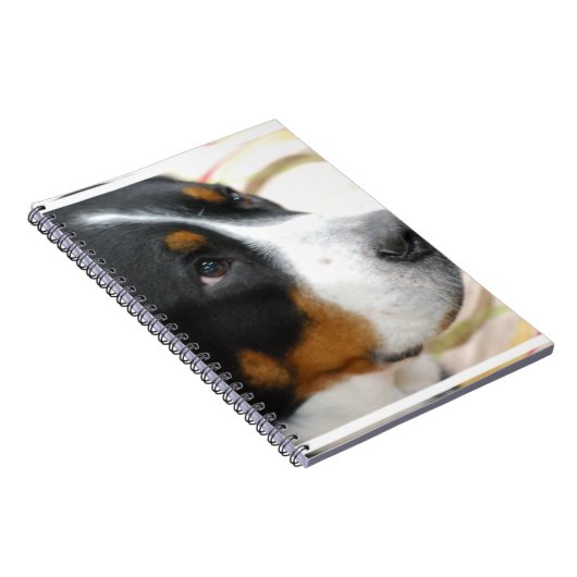Süßer größerer Schweizer Gebirgshund Notizblock (Rechte Seite)