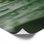 Süßer grüner Laubfrosch auf einem Blatt Poster (Ecke)