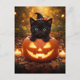 Süßer Halloween-Hintergrund mit schwarzer Katze un Feiertagspostkarte