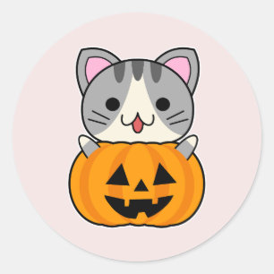 Süßer Halloween-Kater in Kürbislaterne Runder Aufkleber