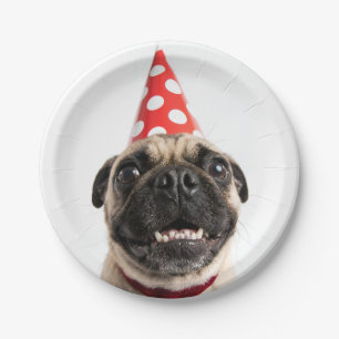 Süßer Happy Birthday Mops mit rotem Partyhut Pappteller