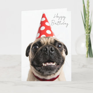 Süßer Happy-Birthday-Mops mit roter Partyhut Karte