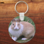 süßer Hase Schlüsselanhänger (Vorderseite)