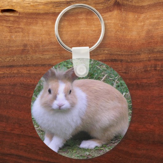 süßer Hase Schlüsselanhänger (Vorderseite)